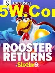 Player Reviews Slotbr9